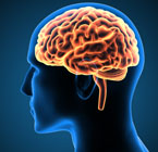 AVC pode causar morte cerebral
