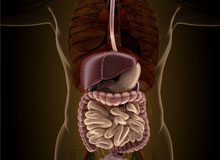 Acordo entre Brasil e Argentina permitirá transplantes multivisceral e de intestino