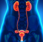 Doença renal crônica atinge 10% da população mundial