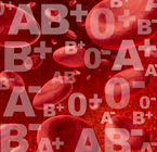 Sem doação de sangue não há transplante