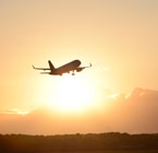 Comissão aprova transporte aéreo gratuito de órgãos e tecidos para transplante