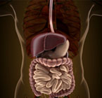 Acordo entre Brasil e Argentina permitirá transplantes multivisceral e de intestino