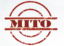 Os mitos sobre transplantes  - Condição financeira ou status influenciam a lista de transplantes? Mito!