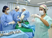 HTO Dona Lindu bate marca de 9,5 mil cirurgias no 3o. aniversário